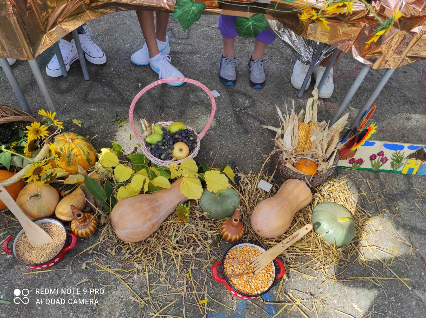 IMG-1be00c39a7f4f0007f4a015a2c41e3b3-V.jpg IMG-1be00c39a7f4f0007f4a015a2c41e3b3-V.jpg